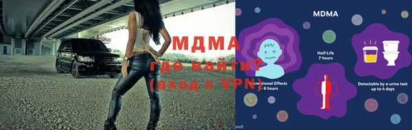 ГАЛЛЮЦИНОГЕННЫЕ ГРИБЫ Чегем