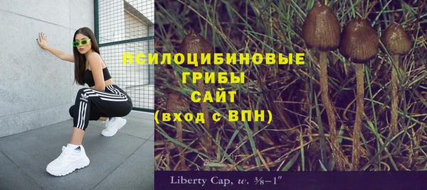 прущие крисы Кукмор