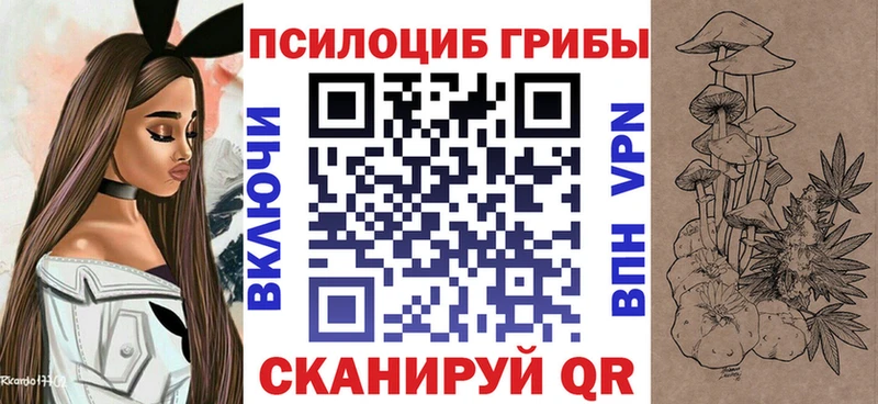 магазин Мегион Галлюциногенные грибы Cubensis